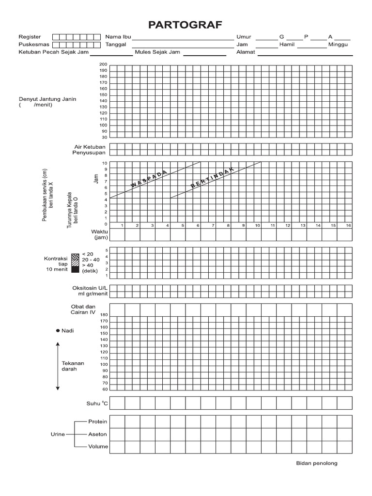PARTOGRAF | PDF
