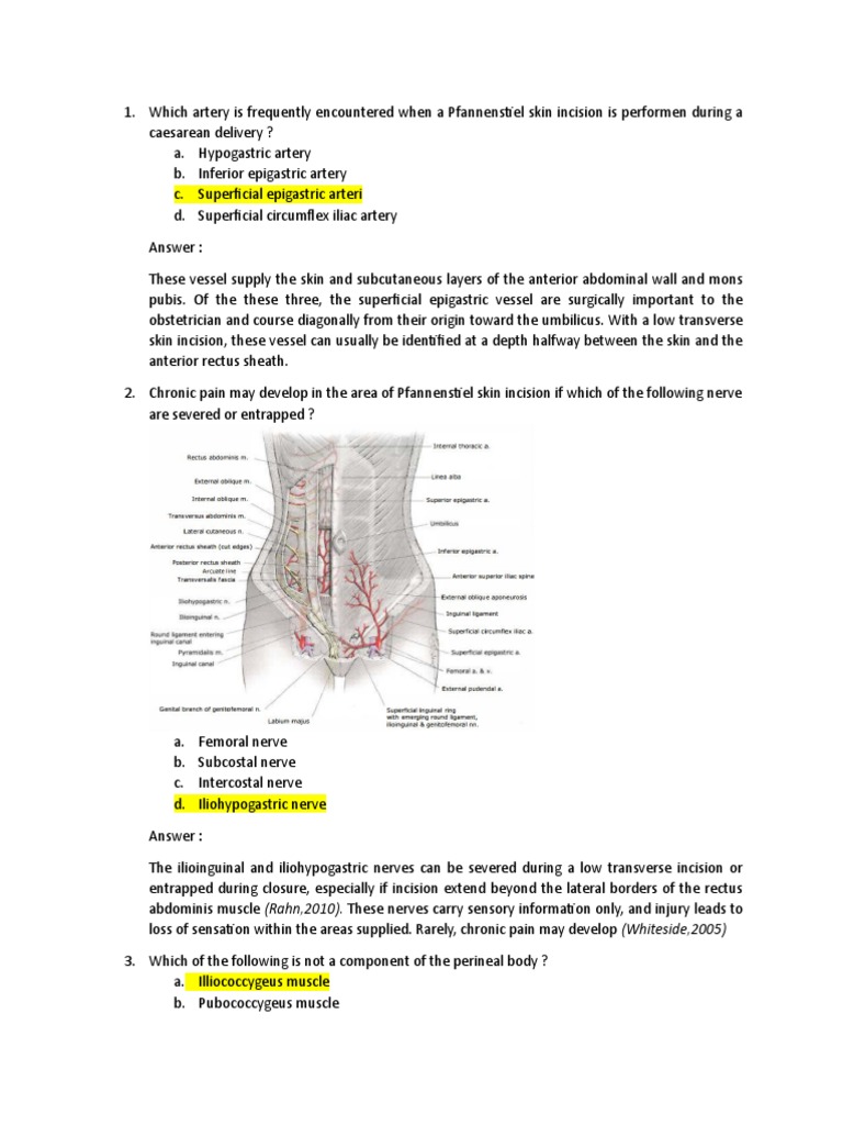 Which Artery Is Frequently Encountered When A Pfannenstiel Skin ...