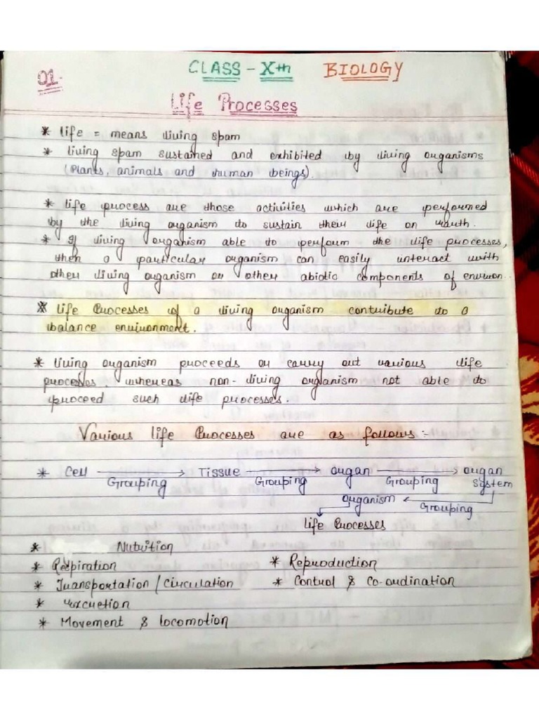Bio Notes | PDF