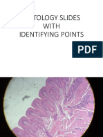 Histo Slides With Identifying Points