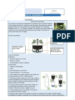 Ficha de Ciencia y Ambientedocx