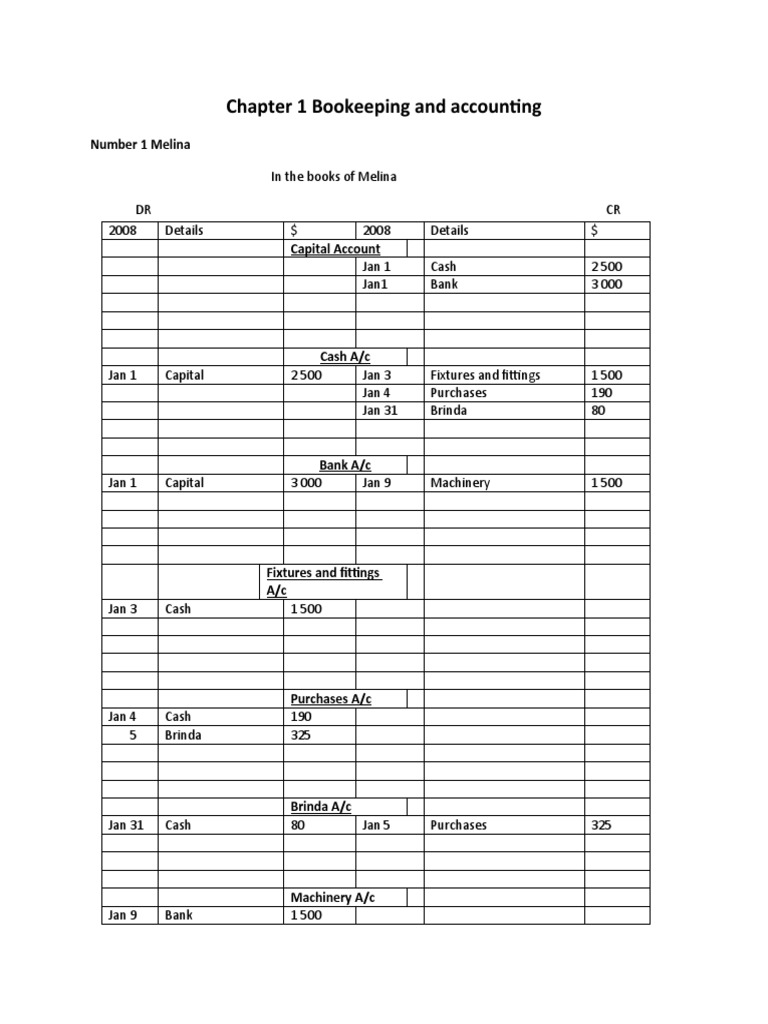 Accounting Ledger Samples | PDF