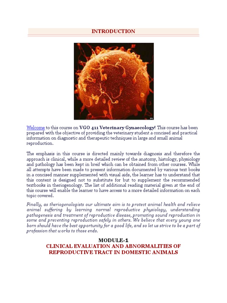 Veterinary gynaecology notes PDF