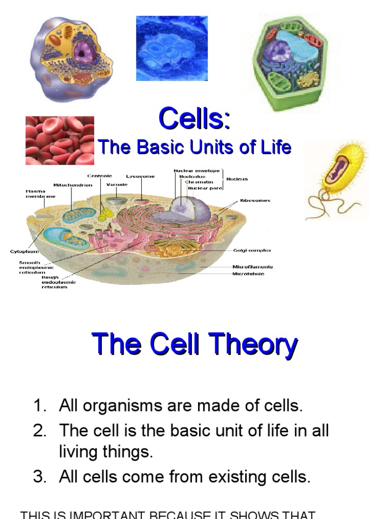 cell-structure-and-functions-pdf-cell-biology-organelle