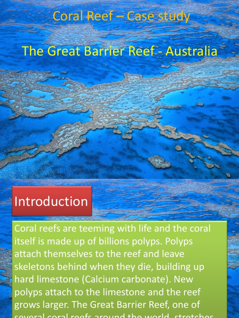 igcse geography coral reef case study