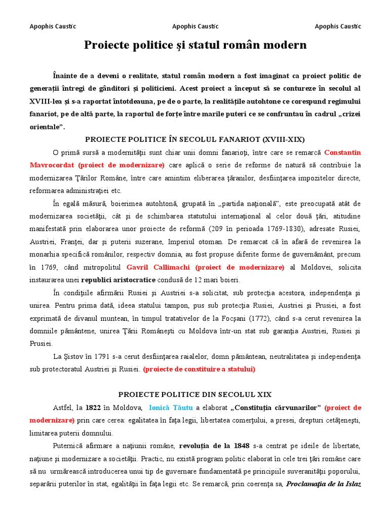 Proiecte Politice | PDF