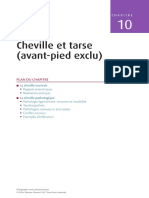 10 Cheville Et Tarse