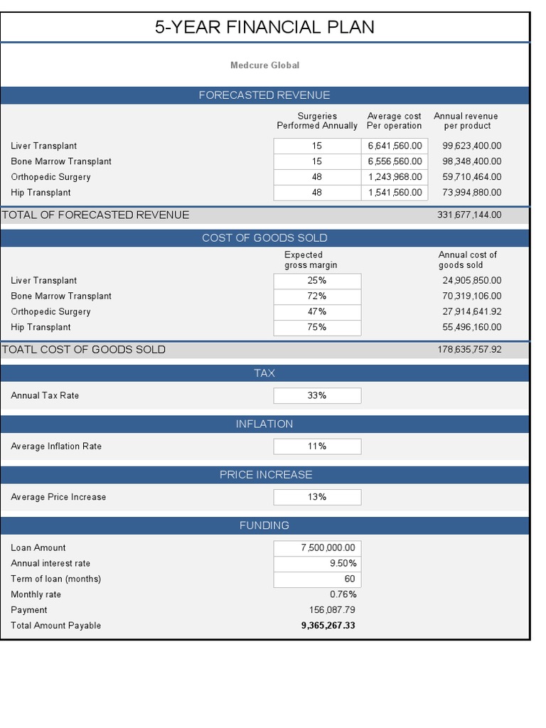 5 Year Financial Plan PDF