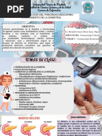 Diecaps 120: Uso y Precauciones | PDF | Farmacocinética | Obesidad