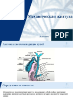 Презентация "Желтуха механическая"