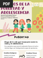 Cambios Físicos y Emocionales en La Pubertad | PDF | Pubertad | Testículo