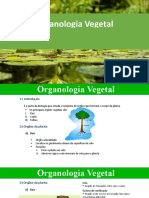 4 Organologia Vegetal