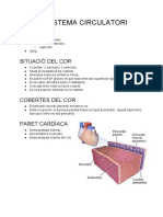 Sistema Circulatori