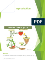 Reproduction - Plant