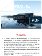 Virus Isa