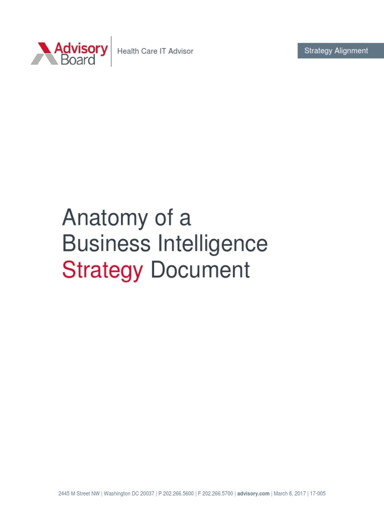 Anatomy Of A Business Intelligence Strategy Document Pdf Electronic
