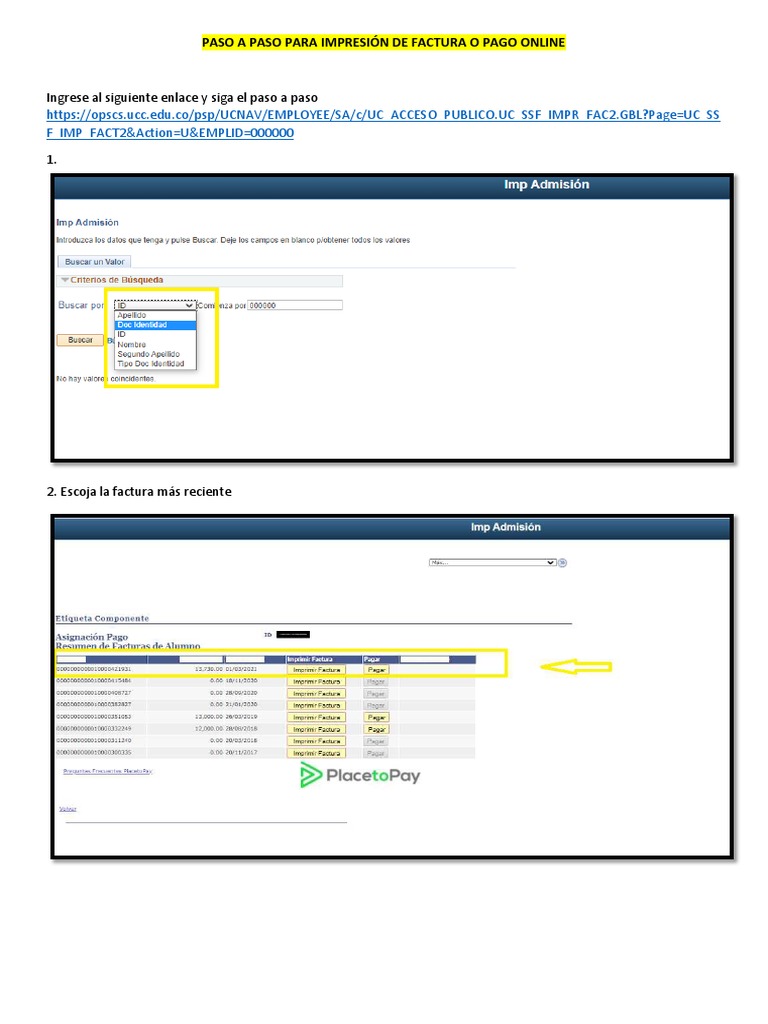 DESCARG Y PAG TU FACTURA ONLINE visual data 7