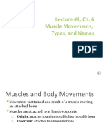 Lecture #4 CH 6 Movements - Muscle Types - Muscle Names