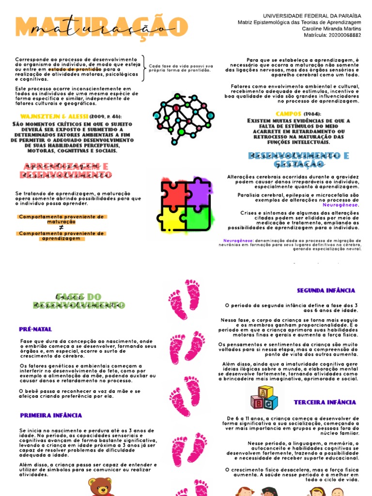 MAPA MENTAL MATURAÇÃO | PDF