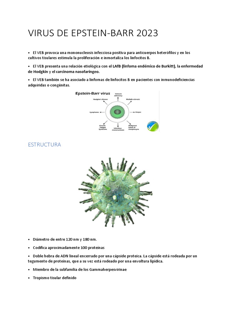 Virus de Epstein-Barr 2023 | PDF
