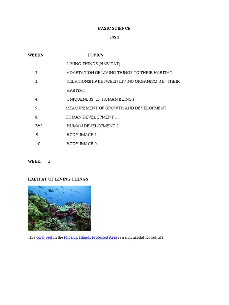 Jss2 basic science 1st term pdf