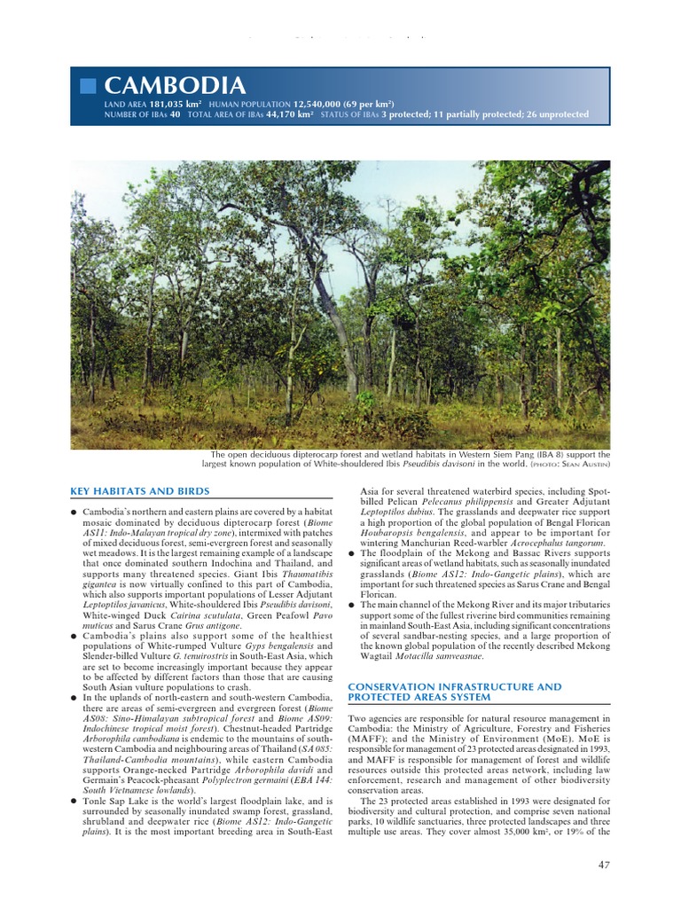 Cambodia Pdf