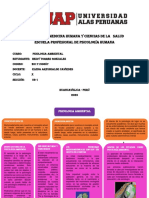 Facultad de Medicina Humana Y Ciencias de La Salud Escuela Profesional de Psicología Humana