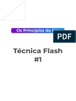 Os Principios Da Cor - Tecnica Flash