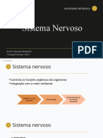 Sistema Nervoso - Anatomia Humana