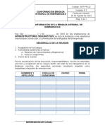 Sst-Pd-16-Od-02 Acta de Conformación Brigadas de Emergencias