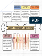 Sistemas Que Protejen