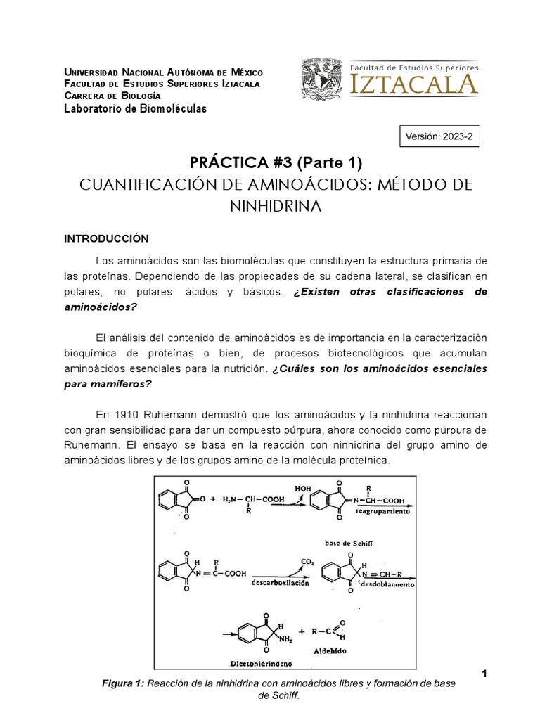 Cuantificación de Aminoácidos: Púrpura de Ruhemann | PDF
