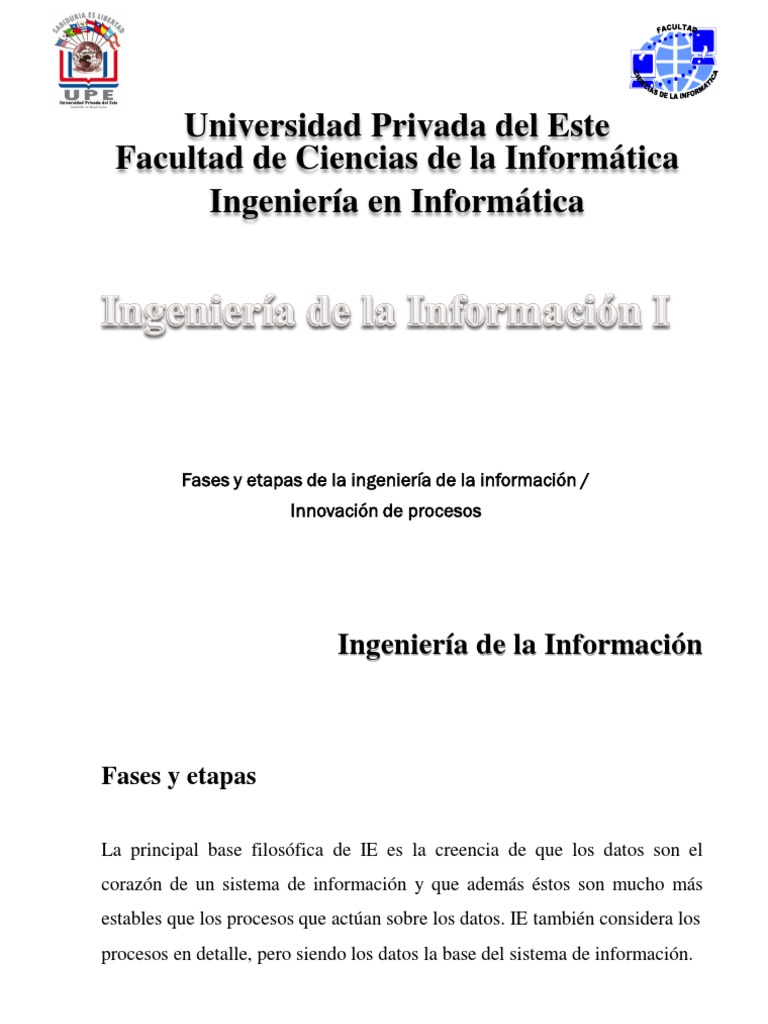 Fases de la Ingeniería de la Información | PDF