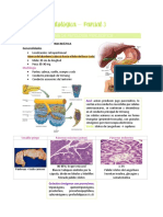 Anatomía Patológica P3