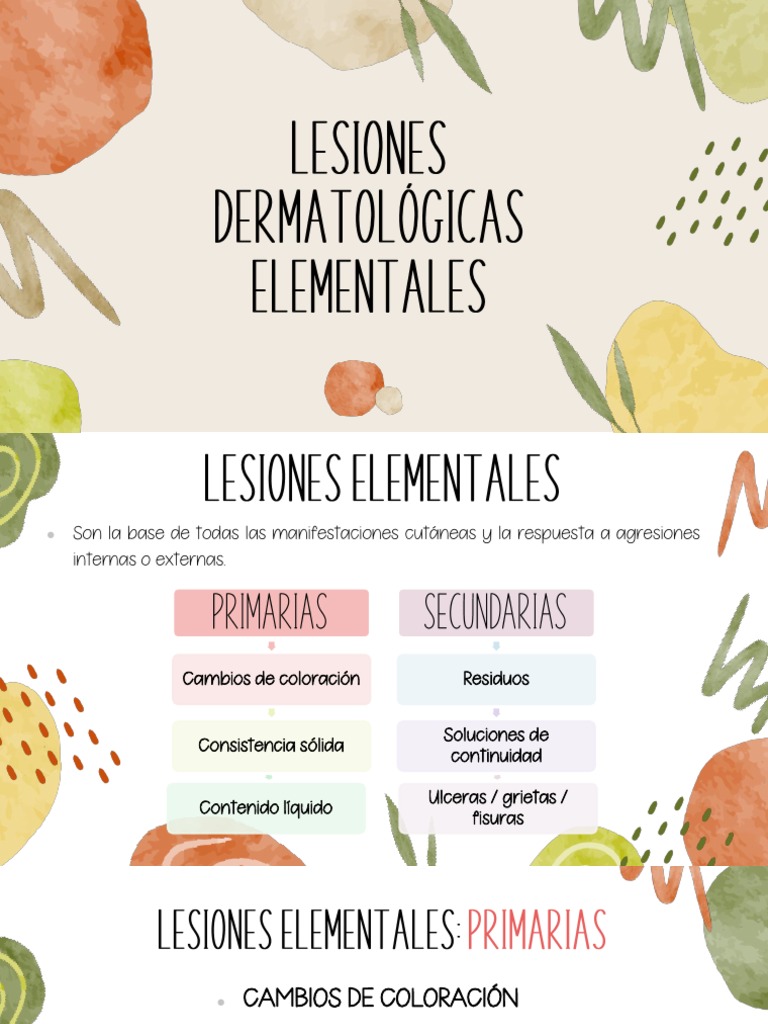 Lesiones Elementales Clase | PDF