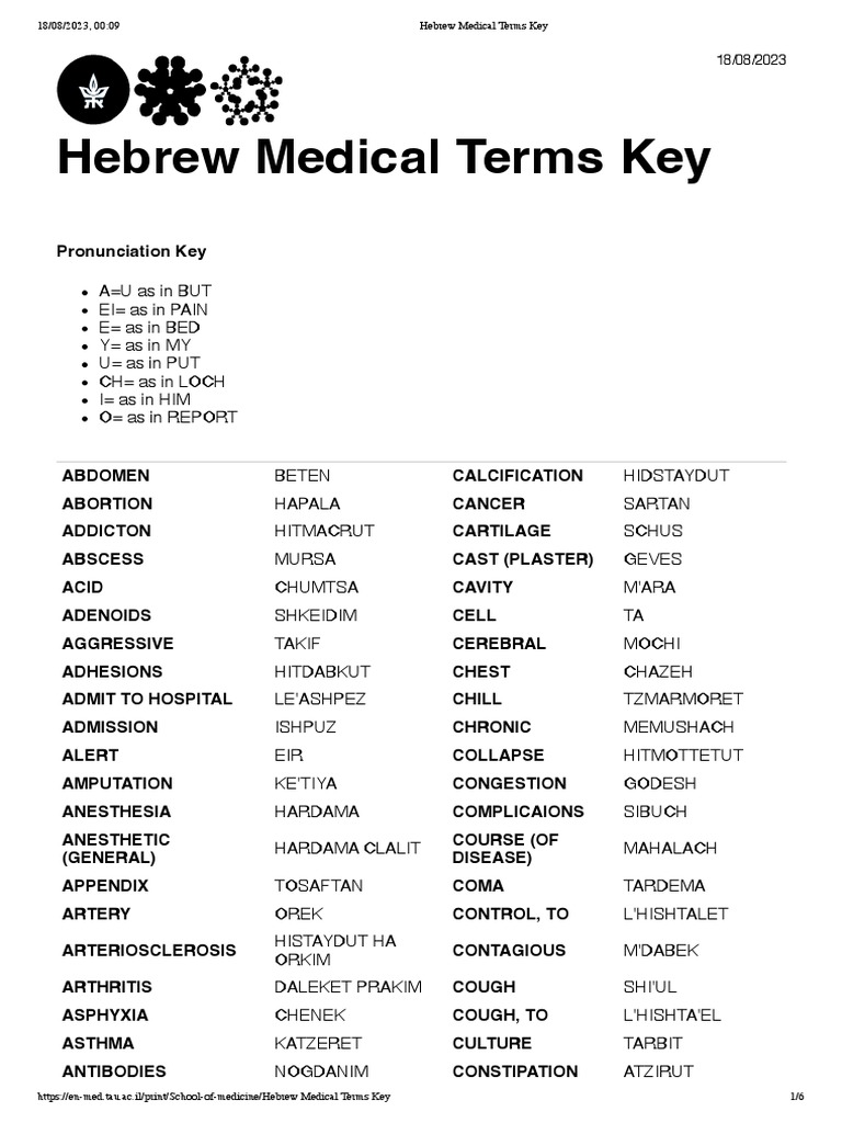 Hebrew Medical Terms Key | PDF