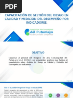 Capacitación Gestión Del Riesgo en Calidad