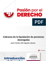 Cobranza Liquidacion Pensiones Devengadas PDF Gratis