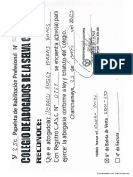Papeleta PDF