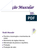 Seminário de Bioquímica Da Contração Muscular