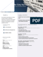 PDF Formato Actualizado Hoja de Vida