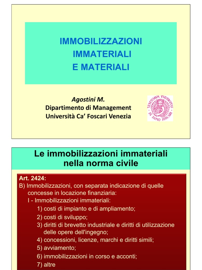 Immobilizzazioni PDF