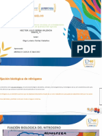 Distinguir Los Ciclos Biogeoquímicos