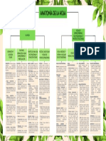 Anatomía y Morfología de La Hoja