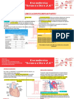 f3.9 Fisiologia Pulmonar - Circulación Pulmonar Parte 1