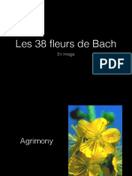 Les 38 Fleurs de Bach: en Image