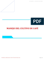 cultivo de café convencional y orgánico