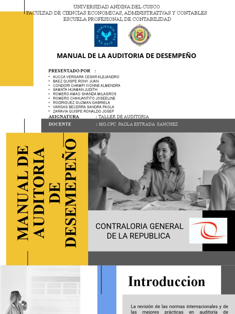 Manual de Auditoría de Desempeño | PDF
