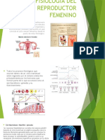 Fsiologia Del Aparato Reproductor Femenino Grupo MELISSA