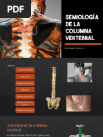 Análisis del Ángulo Lumbosacro y Ferguson | PDF | La columna vertebral ...